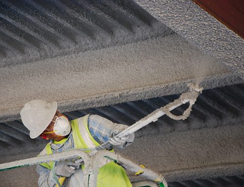 Top Reasons Why Homeowners must invest in Insulation Removal?