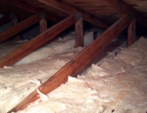 Why Attic Insulation Is the Key to Comfort and Savings in Mississauga?